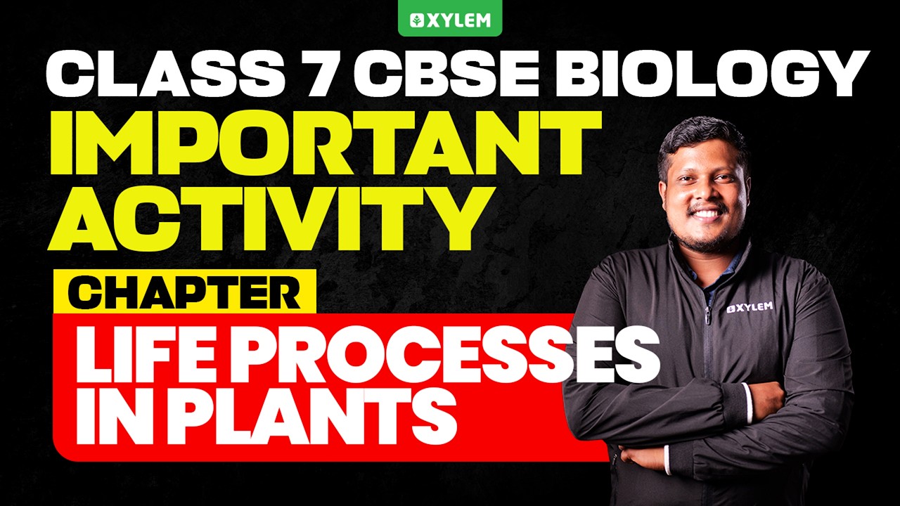 Class 7 CBSE Biology | Chapter :  Life Processes in Plants - IMPORTANT ACTIVITY | Xylem Class 7 CBSE