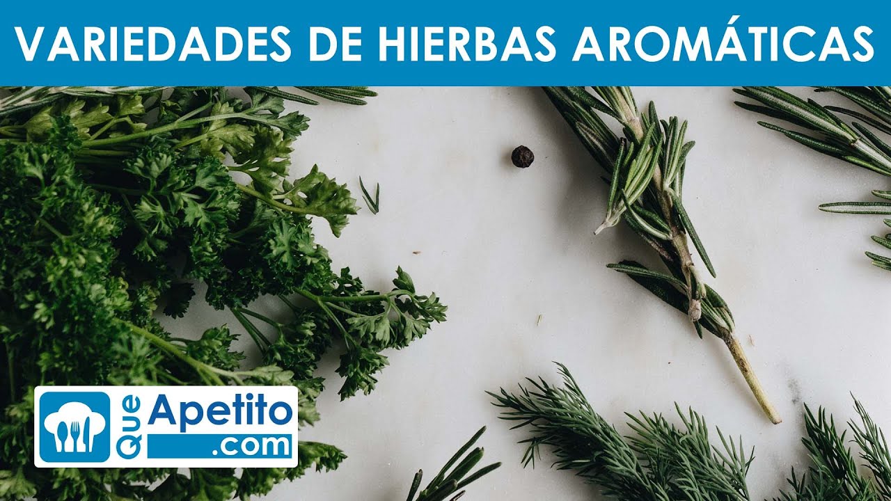 10 Variedades de Hierbas Arom&aacute;ticas | QueApetito