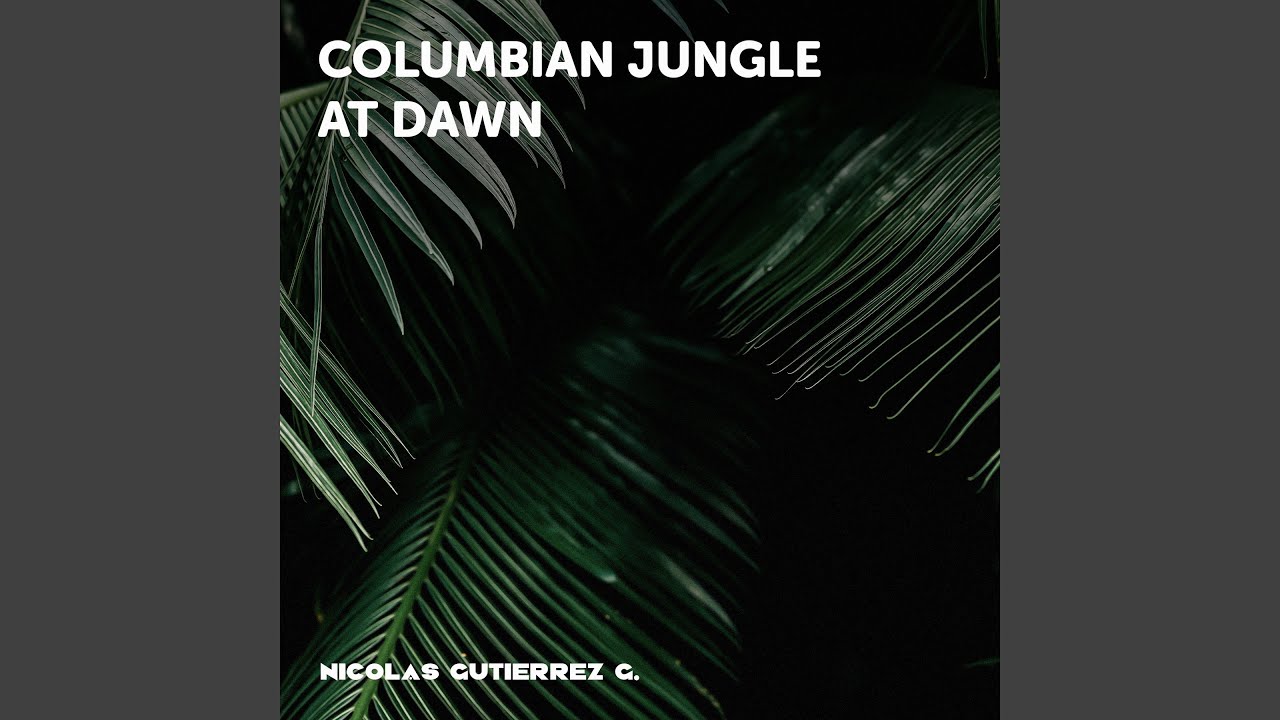 Columbian Jungle at Dawn