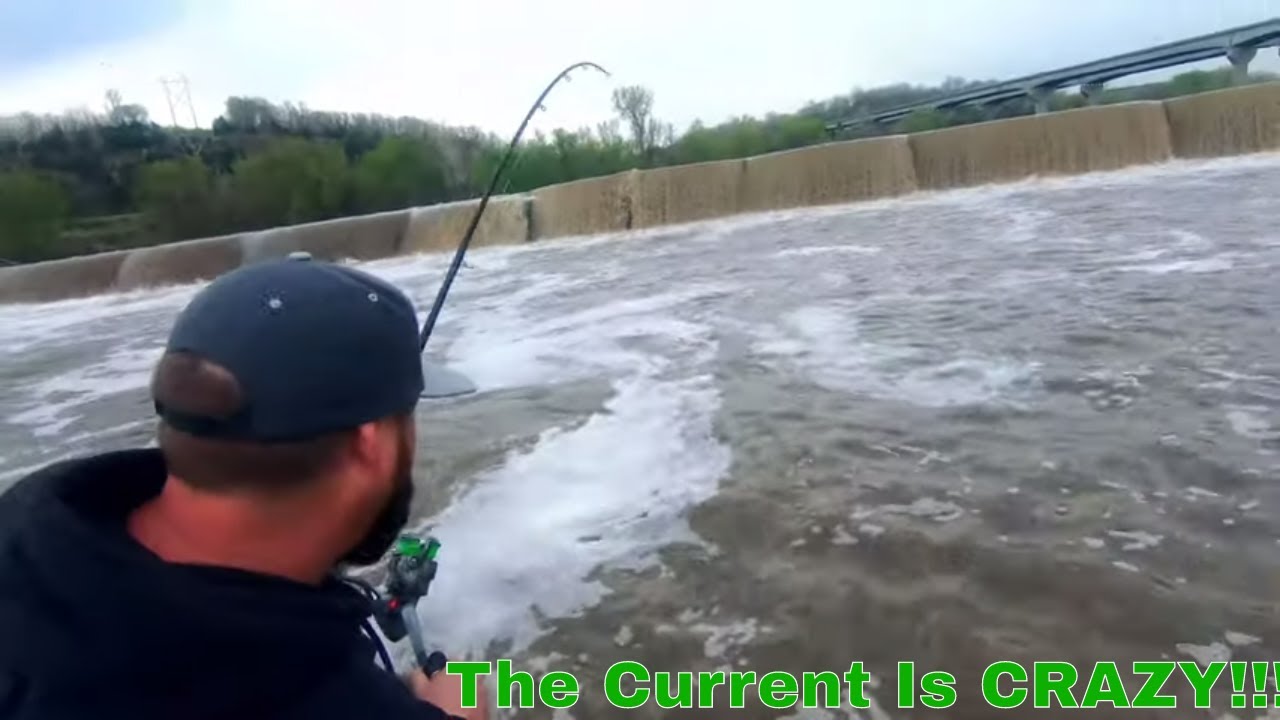 CATCHING HUGE CHANNEL CATFISH 435 Bridge Dam KANSAS RIVER #catfishing #435dam #kansasriver