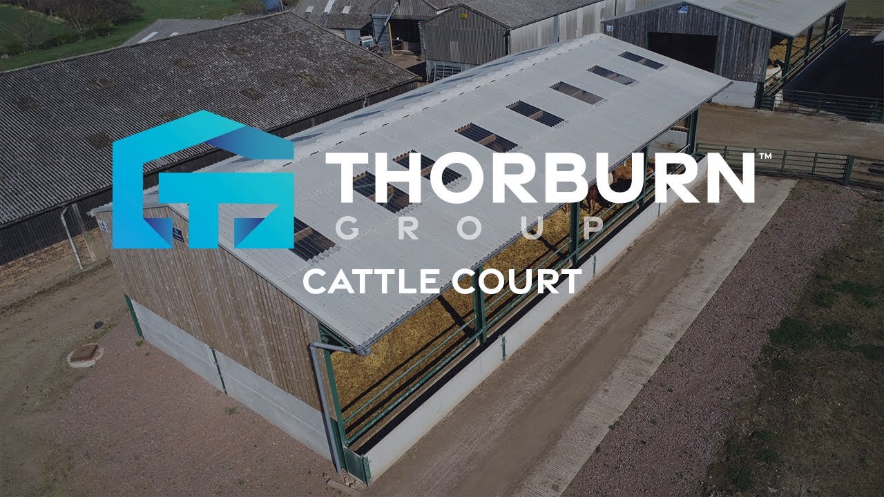 Explore this 11m x 24m Cattle Court | Thorburn Group