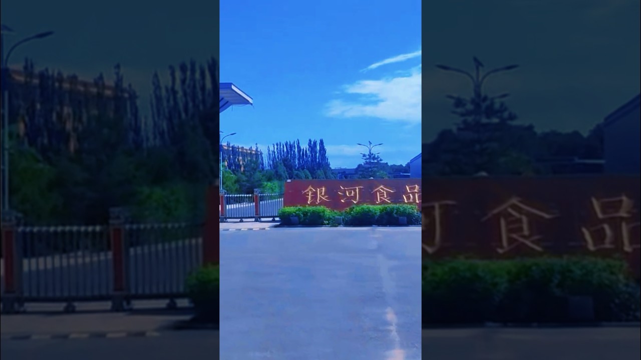 Global premium of freeze dried vegetable and fruits