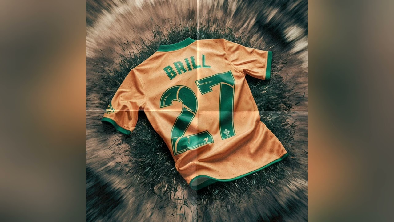 BRILL - BAŞIMIZ QARIŞIĞ