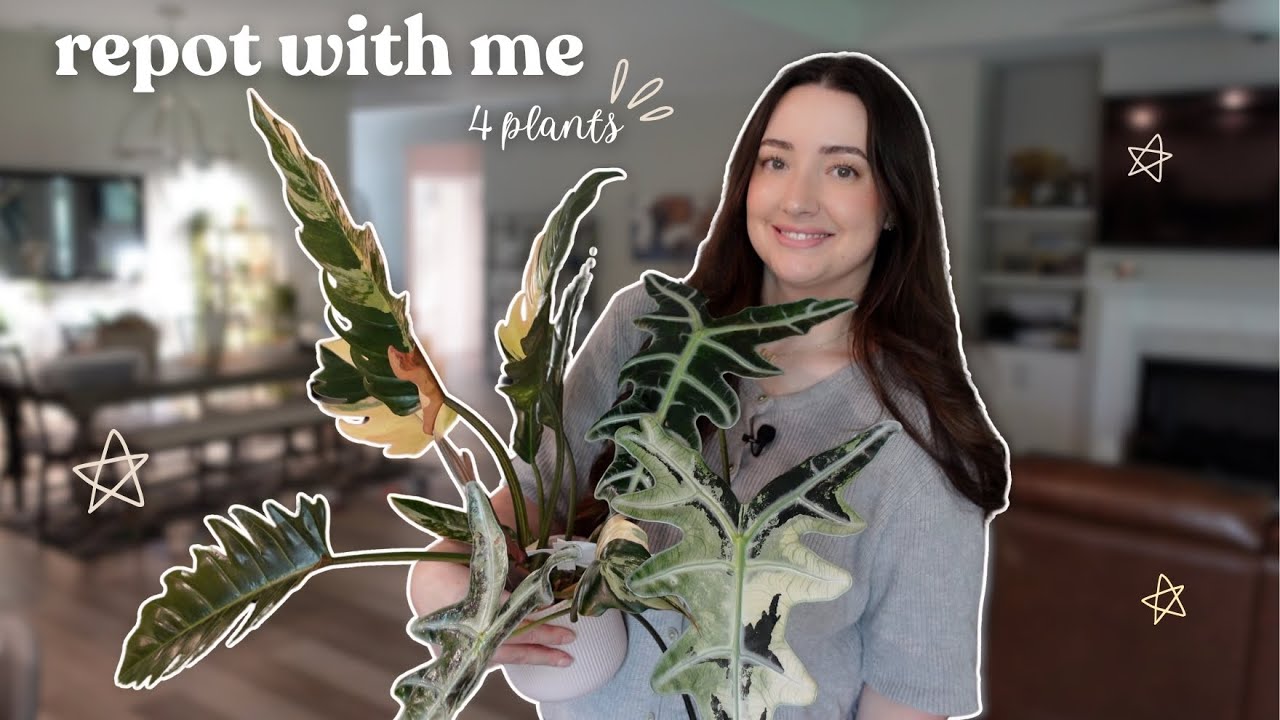 Repotting Houseplants & Hanging Out | Chill Plant Care Day 🪴