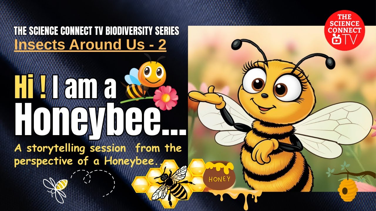 Hi ! I Am a Honey Bee #insects #honeybee