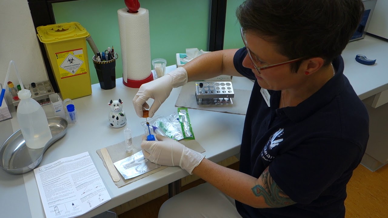 Kotuntersuchung 2  Giardien Test