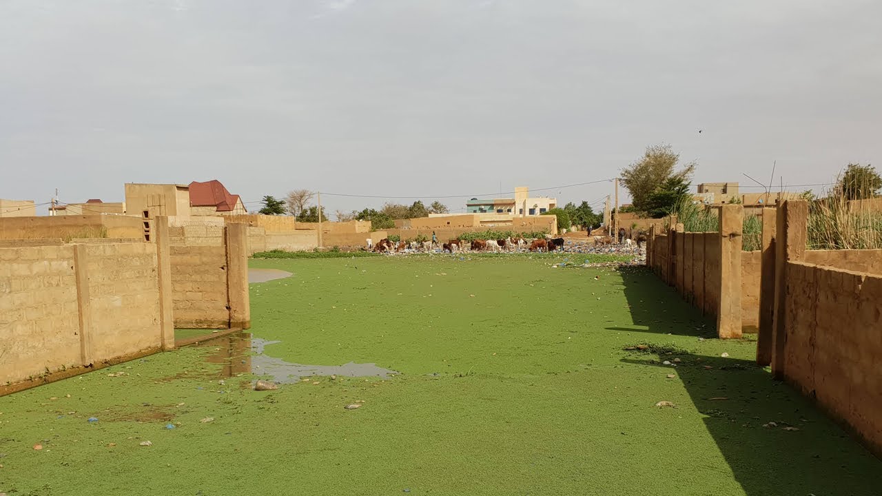 Niamey confrontée aux inondations causées par la remontée des eaux de la nappe phréatique