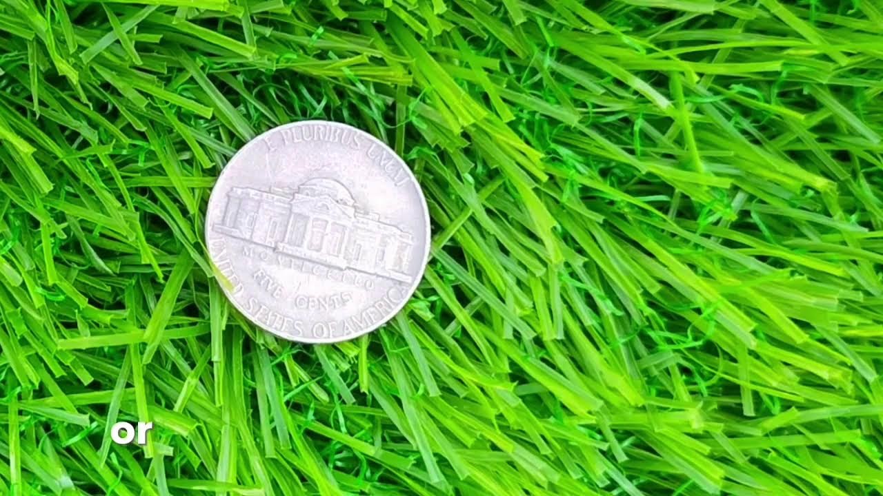 UA COINS WORLD 's Live broadcast