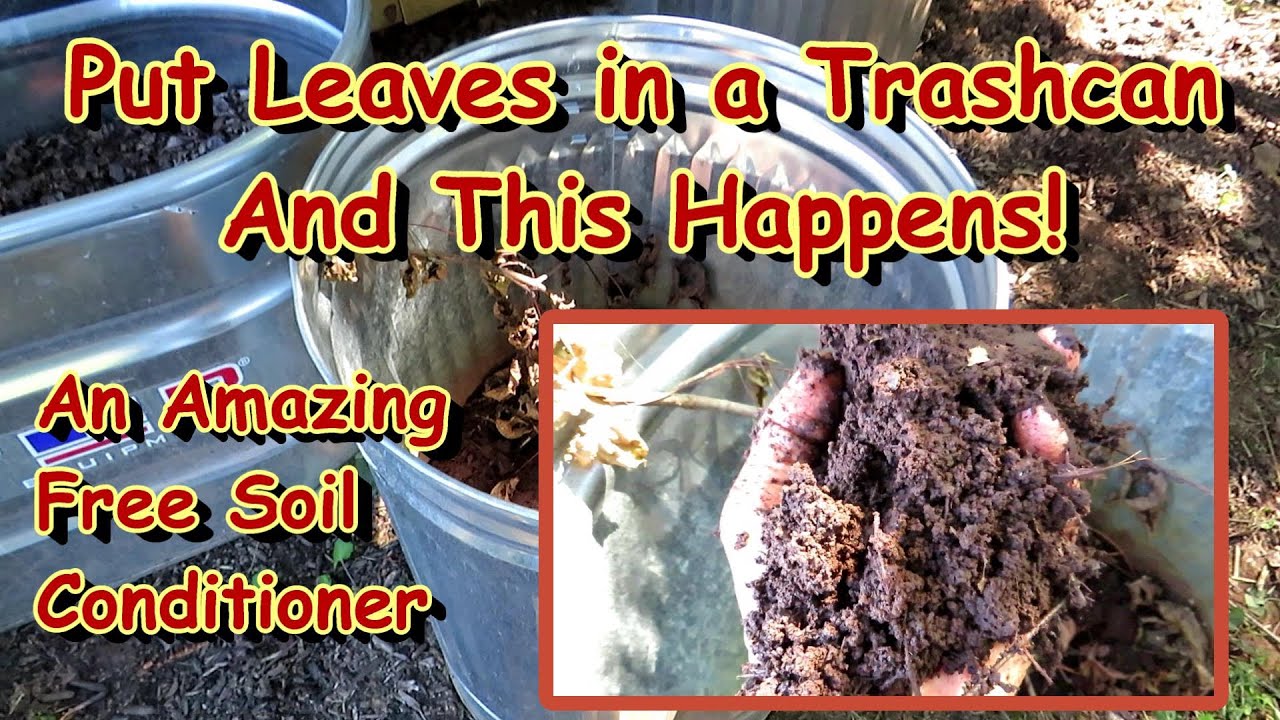 Make Your Own Amazing Leaf Mold/Compost Soil Conditioner in a Trashcan: So Many Garden Benefits!