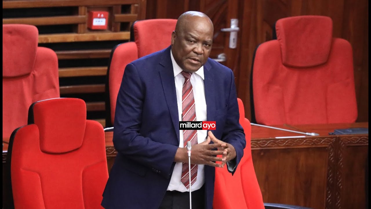 MBUNGE KISHIMBA ATAKA MITAALA YA WAFANYAKAZI WA NDANI “KUTENGA UGALI INAHITAJI KUSOMA?”