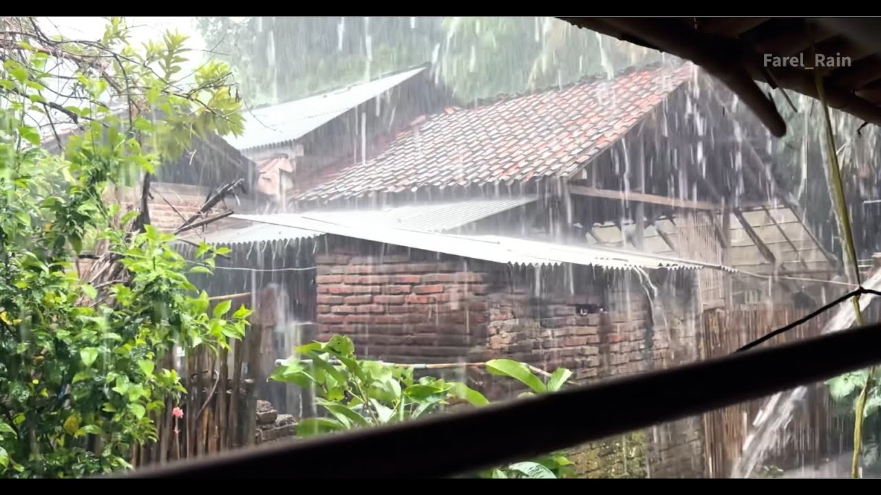 (RAIN WALK) Heavy Rain to Fall Asleep Fast - Rain Sounds for Sleep - Fall Asleep