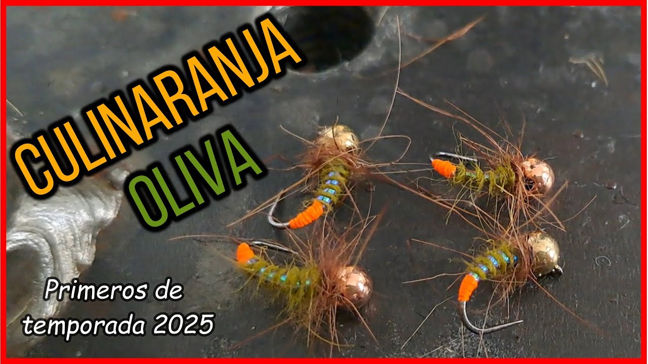 Montaje de ninfa culinaranja oliva (pupa) #flyfishing #flytying #troutfishing #catchandrelease