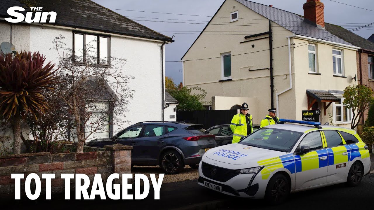 Baby killed by family dog after &lsquo;fireworks sent animal into panic&rsquo; in Welsh village