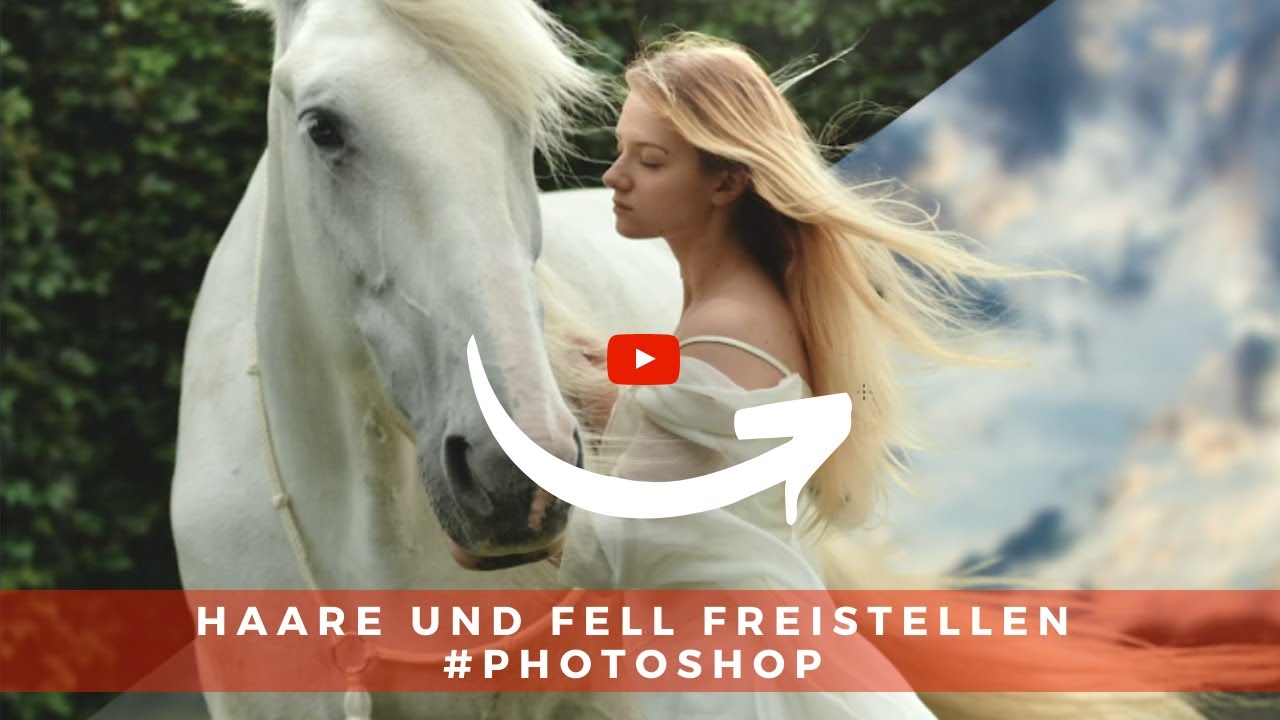 Haare & Fell freistellen 