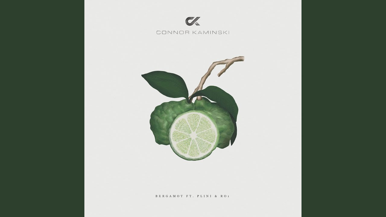 Bergamot (feat. Plini & RO1)