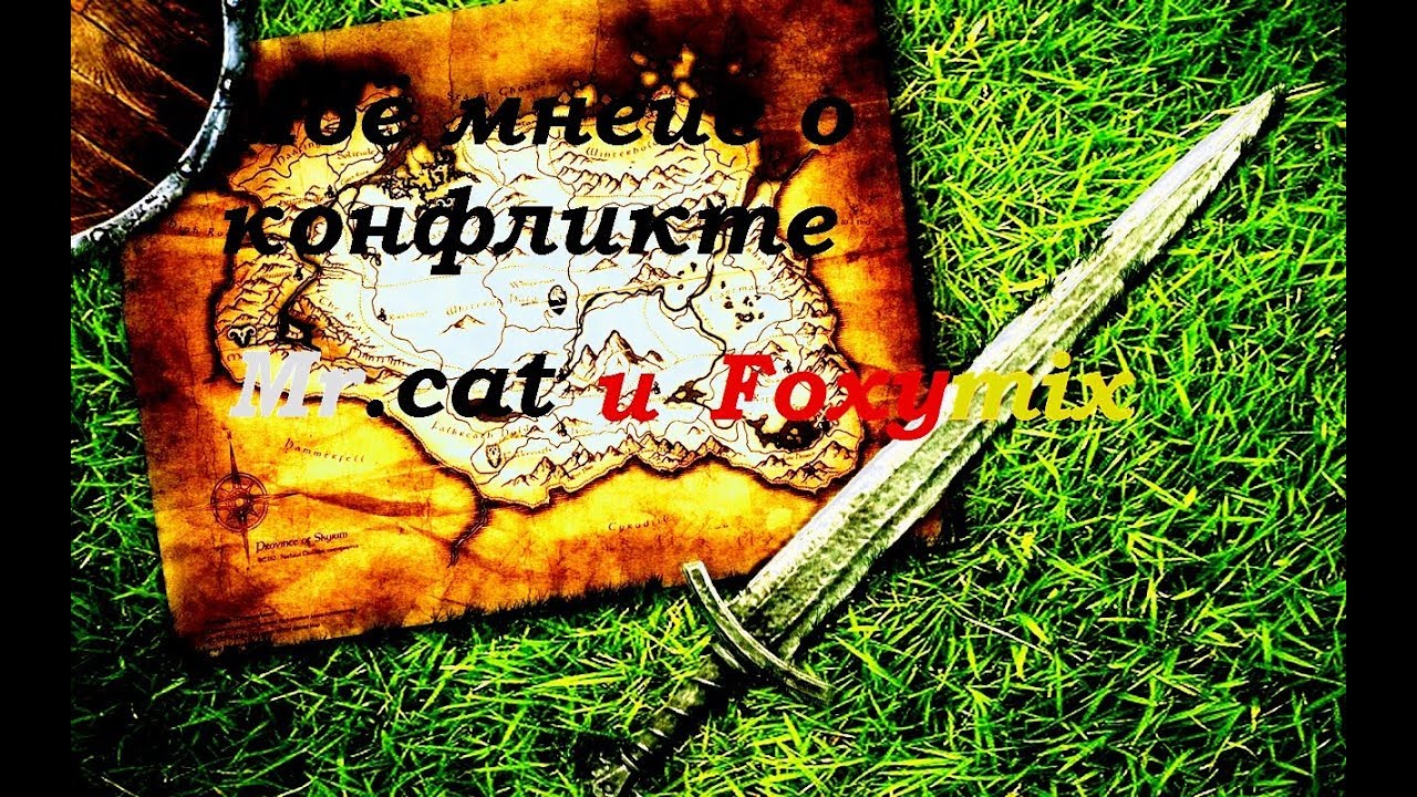 Моё мнение о конфликте Mr.cat и Foxymix