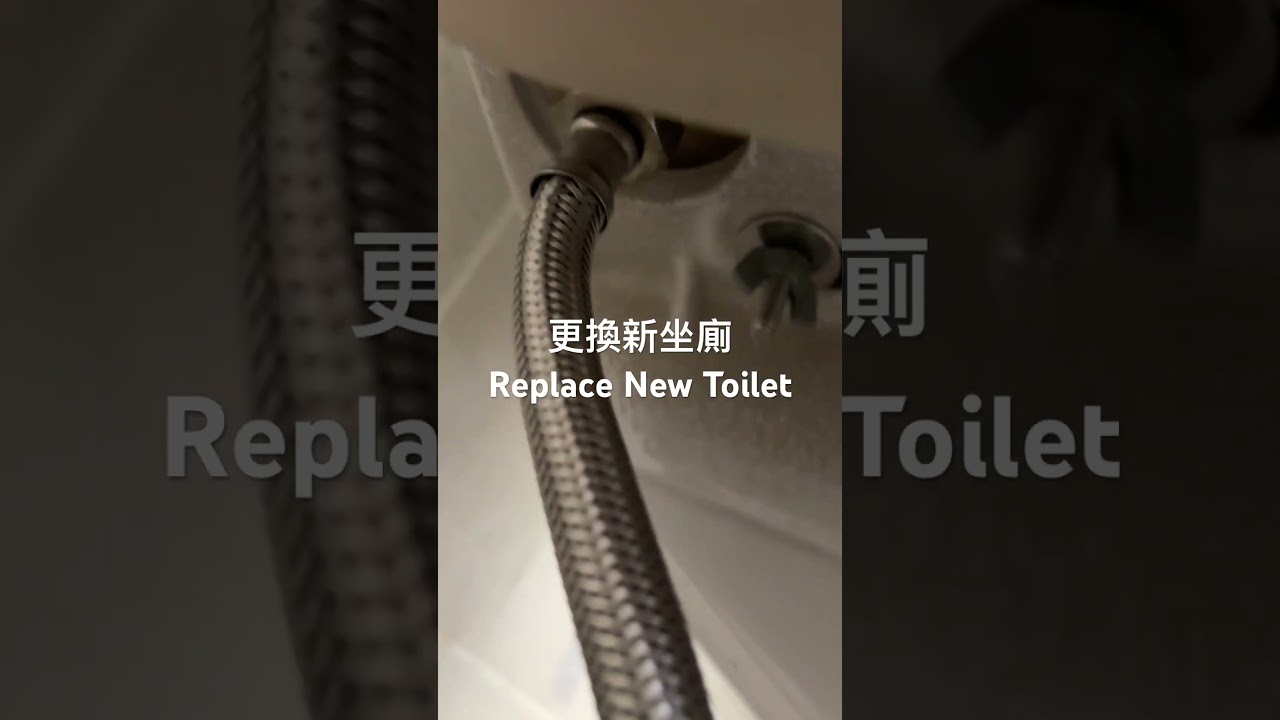 更換新坐廁 Replace new toilet