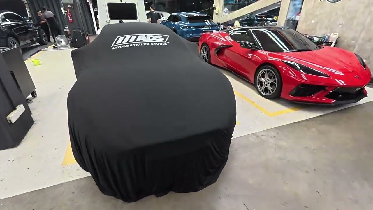 Car collection day!
