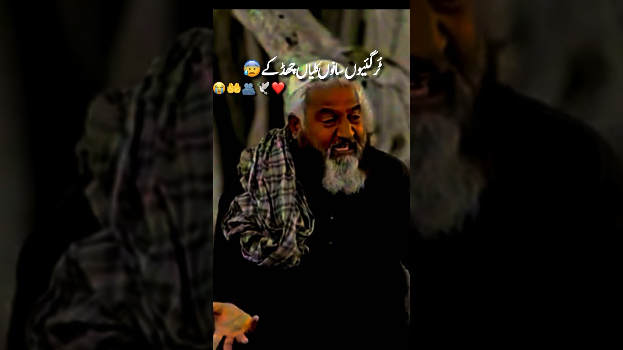 New Kalam Qadeer Ahmad Butt ❤️ #viral #maa #motivation #motivational #qeemtiquotes #