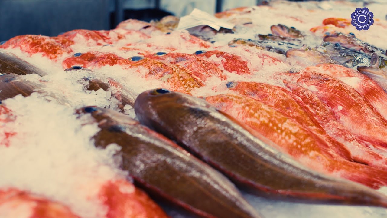 Mundo Marca Açores T2  - Programa nº 35 - Peixaria Almeida