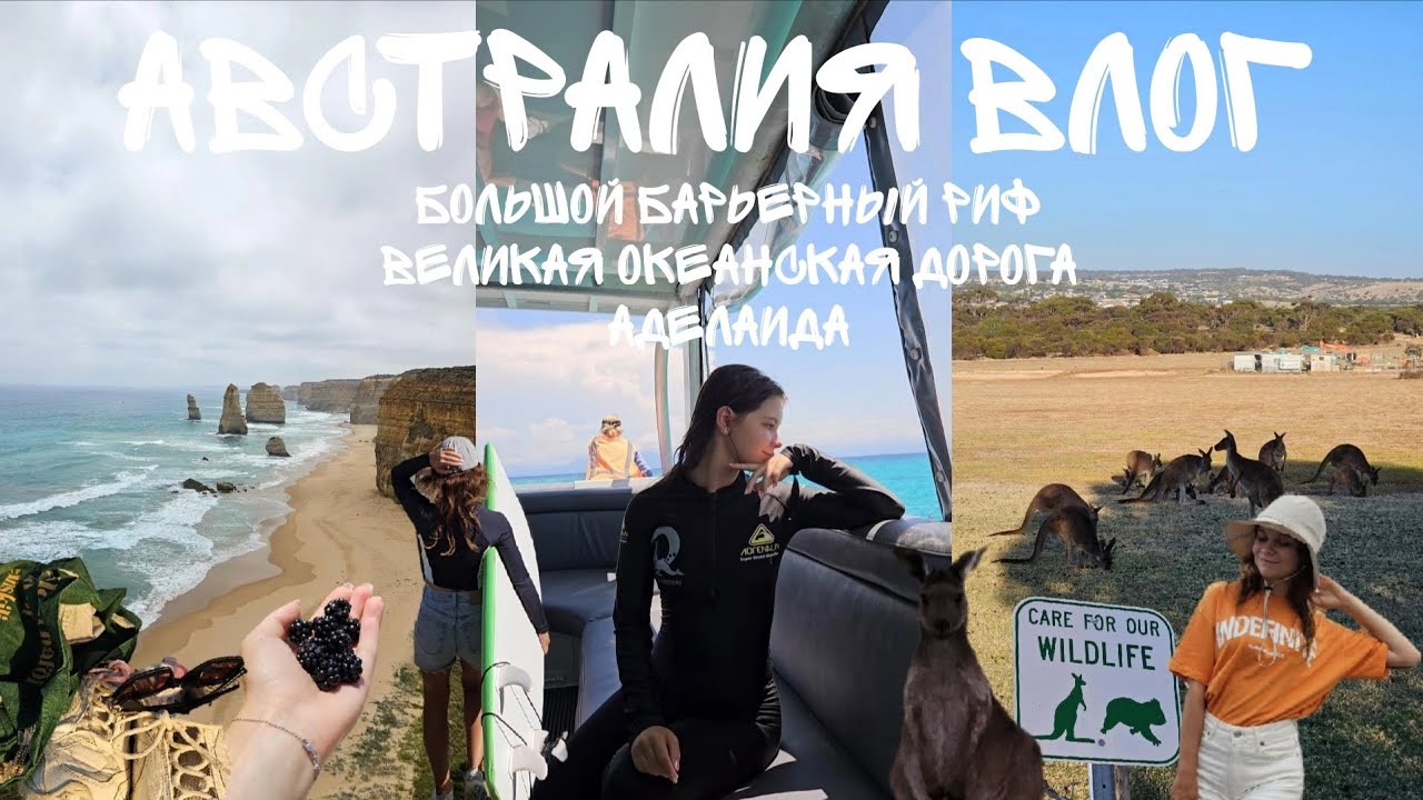 АВСТРАЛИЯ ВЛОГ: ДАЙВИНГ НА БОЛЬШОМ БАРЬЕРНОМ РИФЕ, КЕНГУРУ В АДЕЛАИДЕ И БОЛЬШАЯ ОКЕАНСКАЯ ДОРОГА 🇦🇺