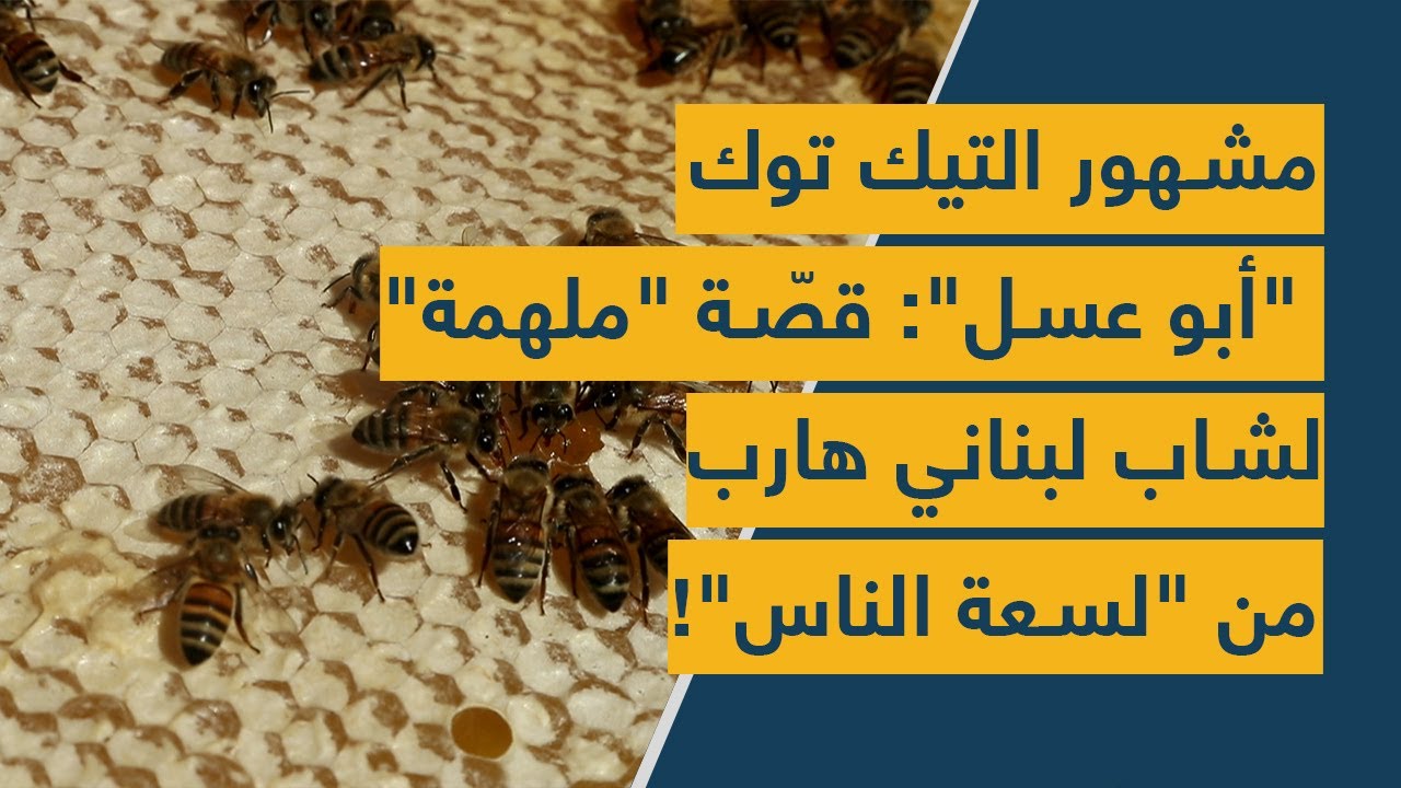 مشهور التيك توك 