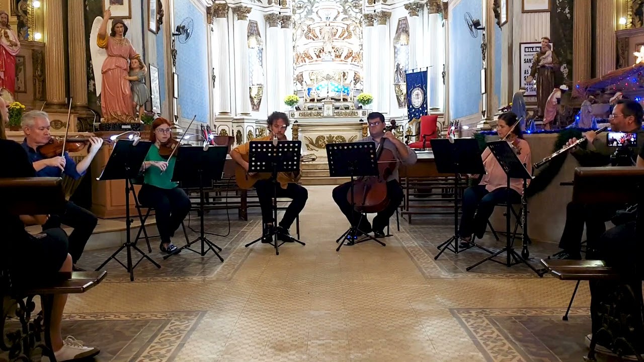 Sinfonia da Cantata BWV 156 - Johann Sebastian Bach - Oboé Brasileiro
