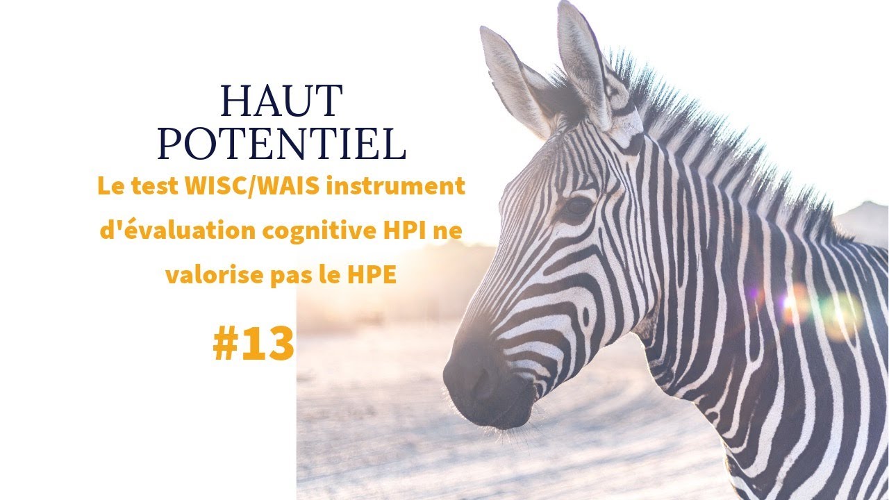 HAUT POTENTIEL #13 : le test psychométrique WISC / WAIS instrument d'évaluation cognitive HPI n...