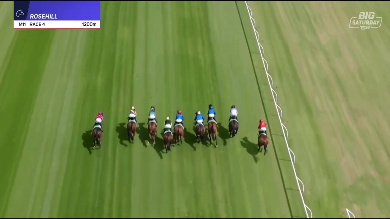 WARWOVEN | PAGO PAGO STAKES GROUP 3 2026