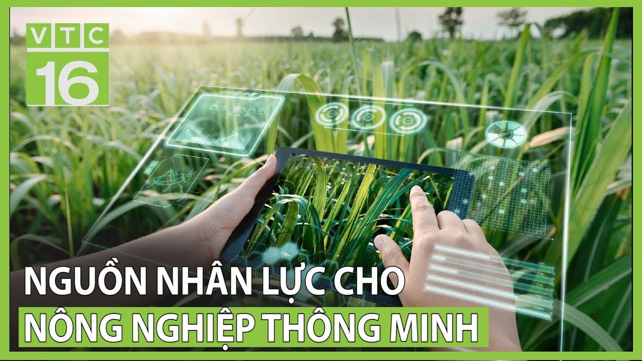Nguồn nhân lực cho 