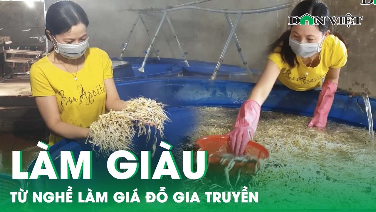 Làm Giàu Từ Nghề Làm Giá Đỗ Gia Truyền | Báo Dân Việt