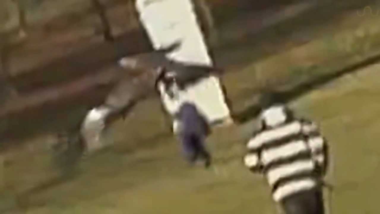 Eagle grabs Baby