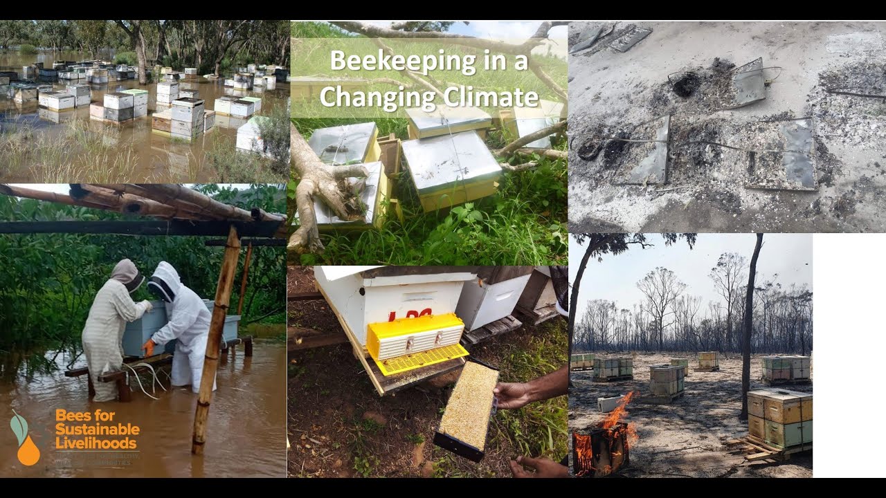 Beekeeping in a Changing Climate