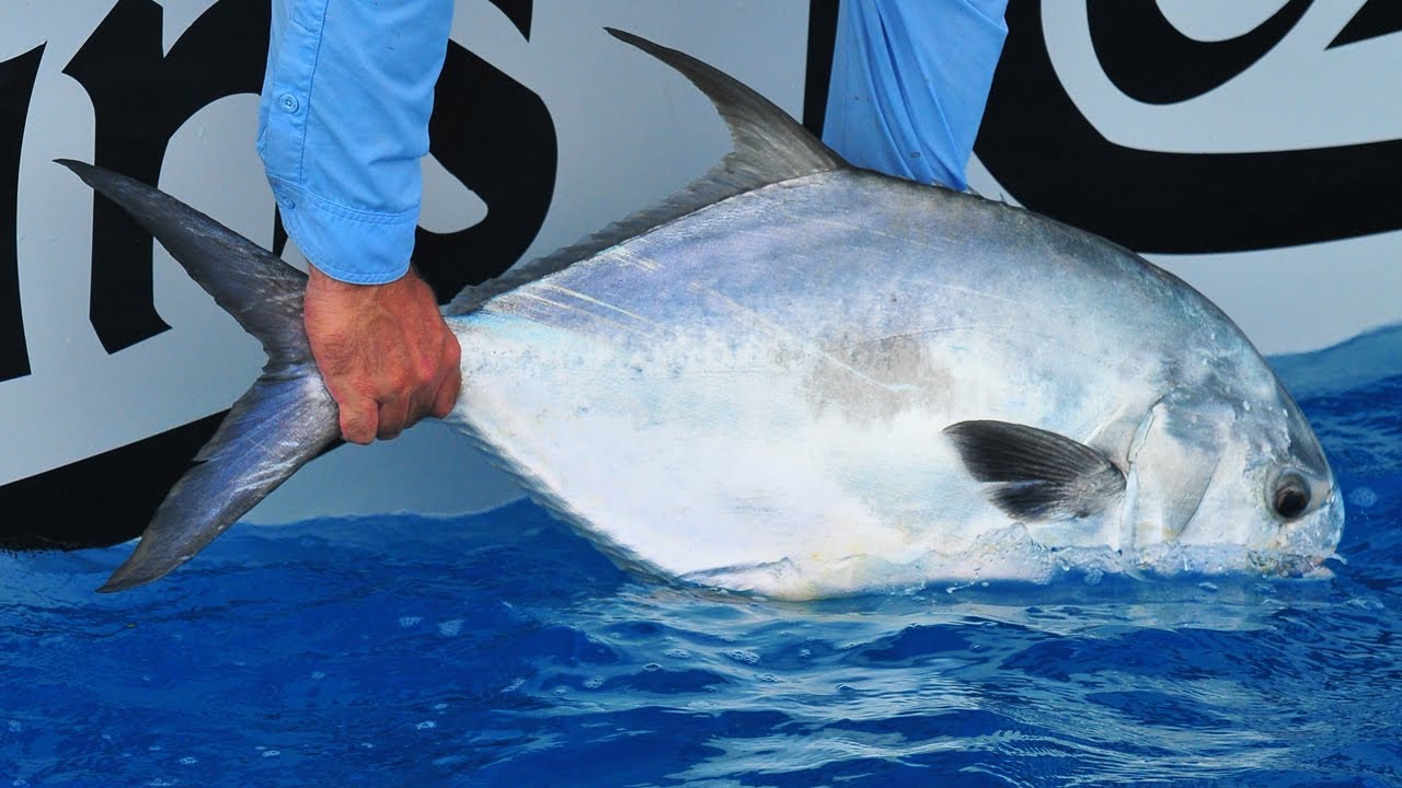 Saltwater Experience: 
