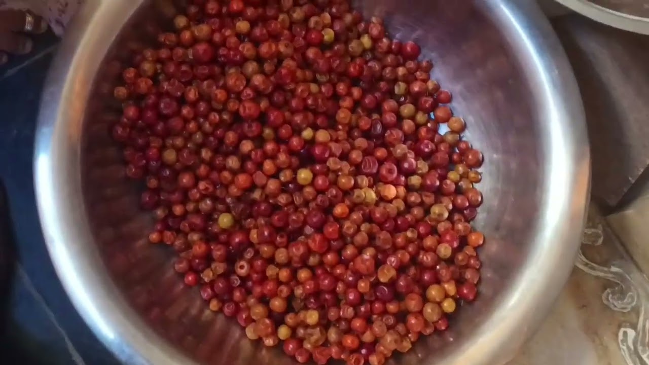 Jujube fruit vada recipe making process 