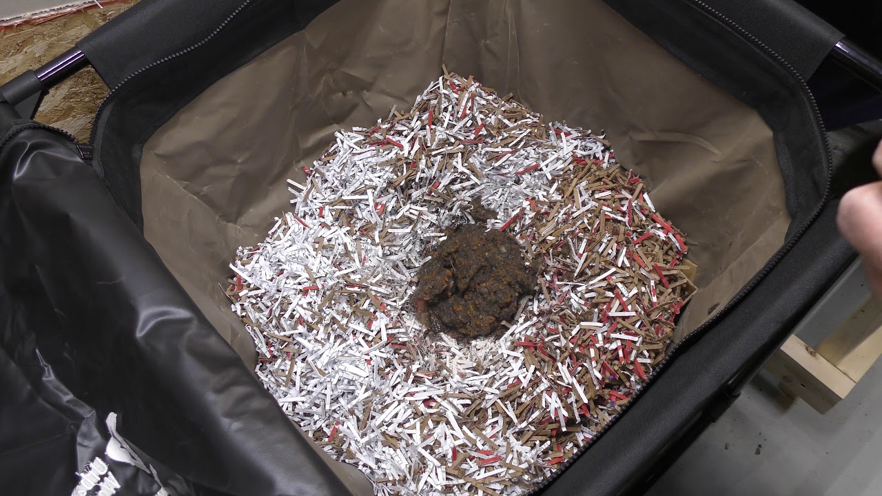 NEW Urban Worm Bag V2.0! (3/20/2019)