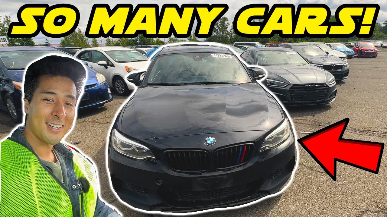 Visiting One of the Largest Auto Auctions in the USA!