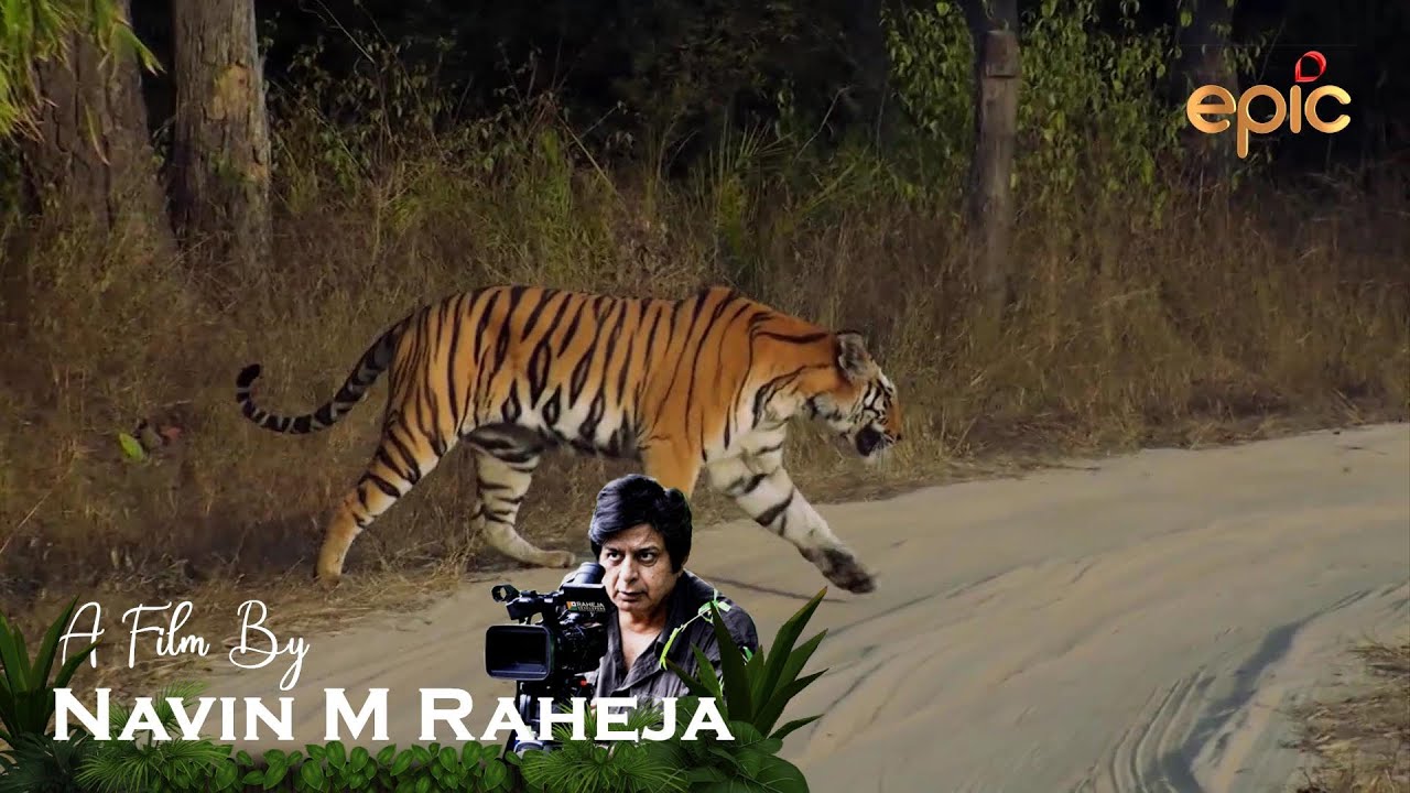A JEWEL CALLED BANDHAVGARH - WILDERNESS DAYS-2021 ENGLISH