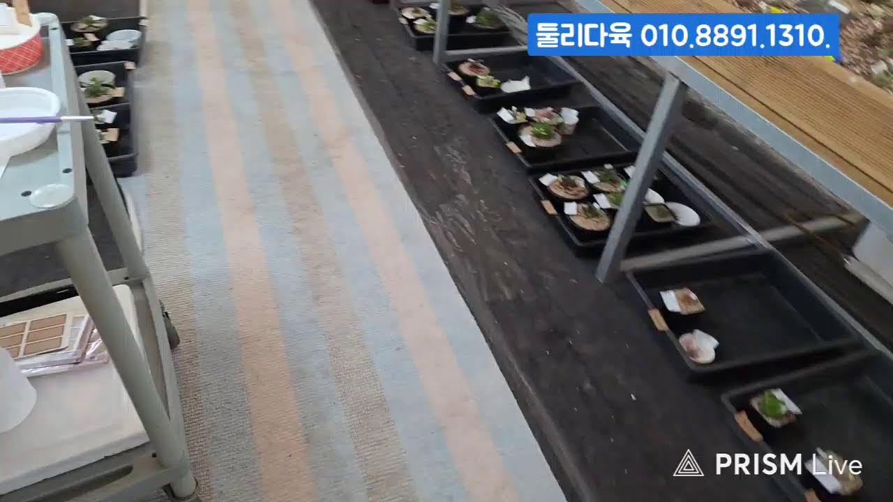 (3.4.수) 둘리다육 #금다육 #식물 #흙 #라이브 방송