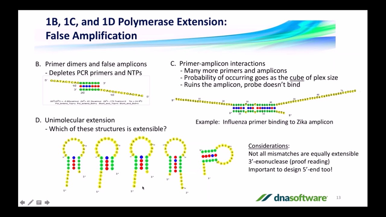 The Four Common Problems in Multiplex PCR assay Panel Design