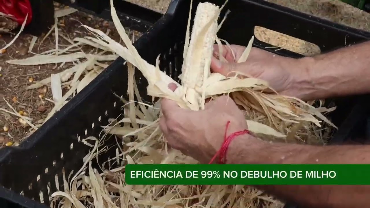 DEBULHADOR DE MILHO MAC DM PREMIUM   MACHINIA AGRO