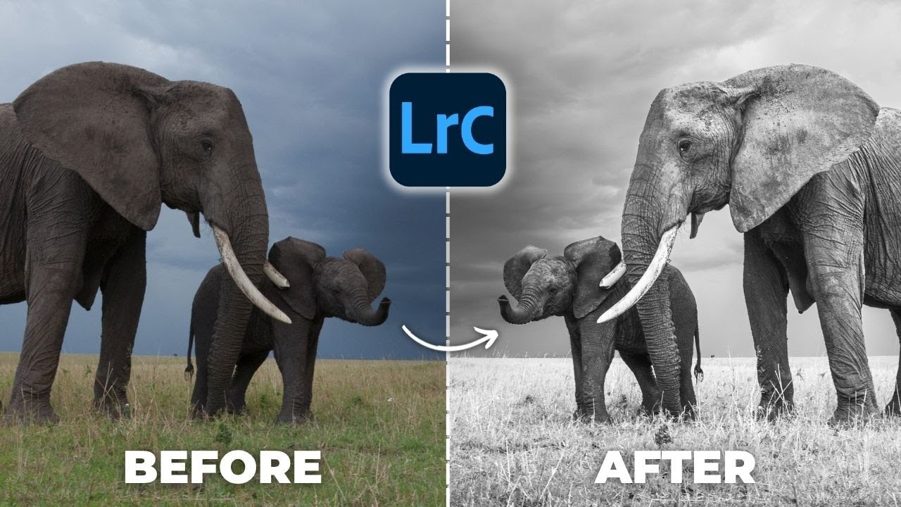 A Lightroom Trick I’ve Never Seen Shared Before