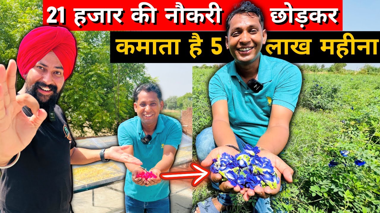 इसे लगाकर लाखों पैसे 💸 कमाओ और मंडी से निर्भरता हटाओ 😲|| India's Low Cost Solar Dryer 📞07314852417