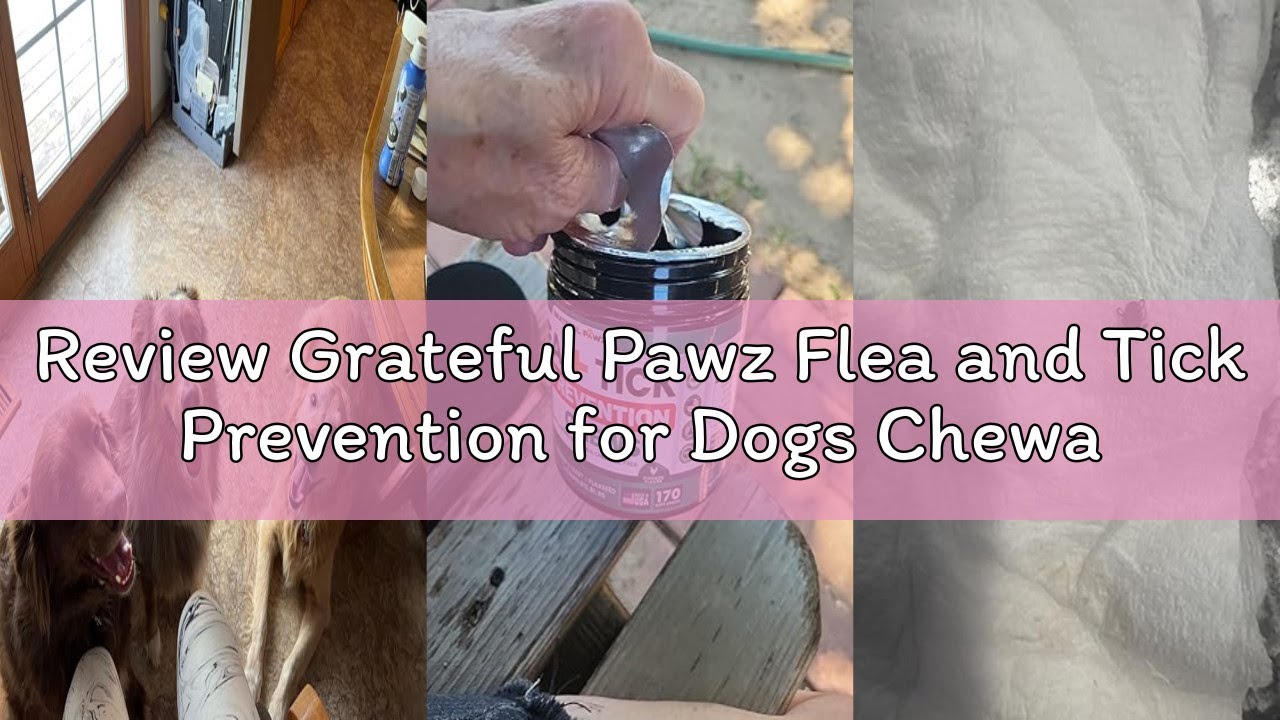 Review Grateful Pawz Flea and Tick Prevention for Dogs Chewables - Made in USA - Natural Flea and Ti