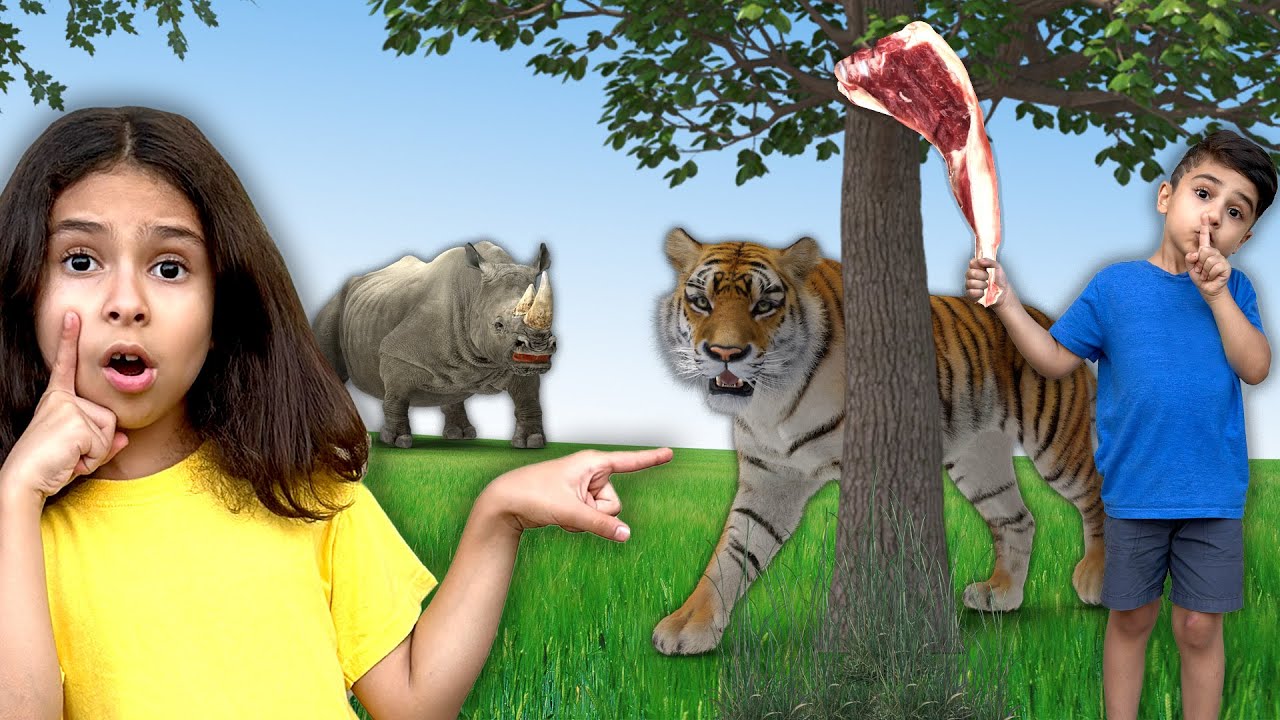 Educational Animal Video for Kids |Herbivore, carnivore and omnivore animals by Atrin and Soren