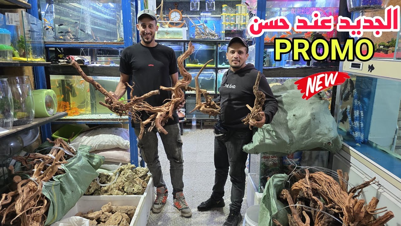 الجديد عند حسن🐠عشاق أسماك الزينة الجديد أكسيسوارات لوازم الأسماك برومو فالأسماك فرجة ممتعة 