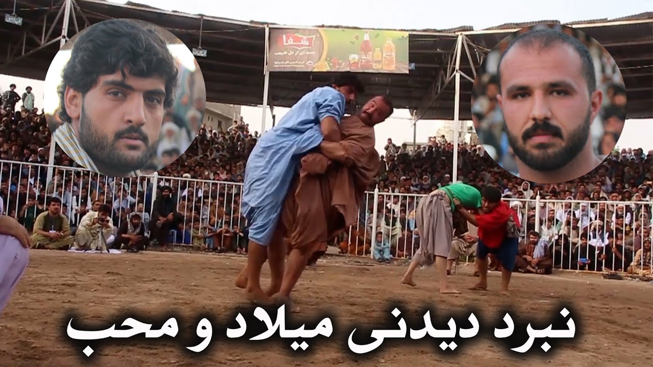 نبرد کلاسیک  و جذاب / محب رحمانی و میلاد جمشیدی