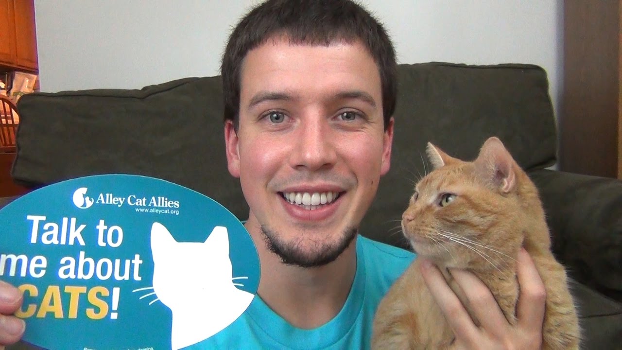 Something Every Cat Lover Needs To Know About