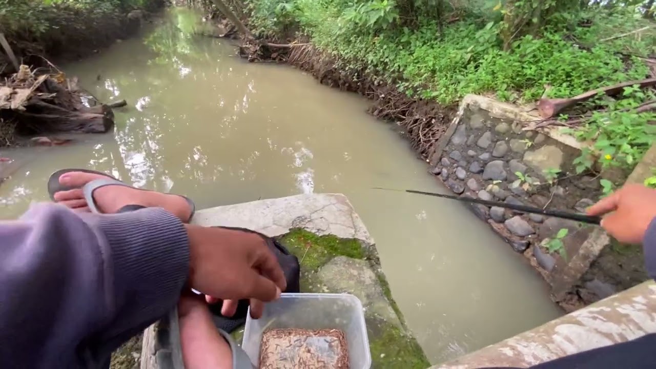 day 4 mancing.. full no edit edit males ngedit,, DI TONTON BOLEH, ENGGA JUGA BOLEH