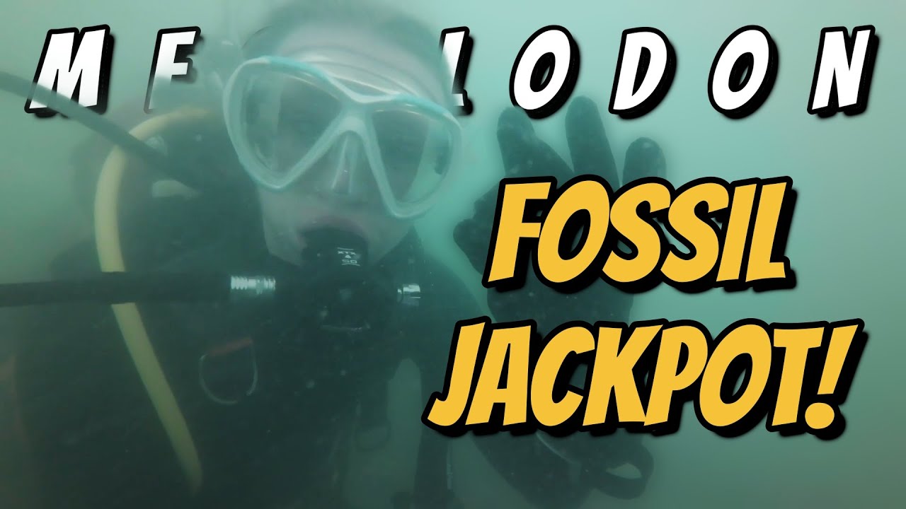 Scuba Diving for Megalodon Teeth in Venice Florida | Fossil Hunting Jackpot!